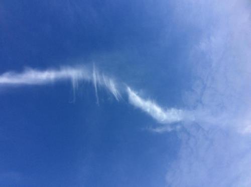 51687403_409102613168699_1044434448935813120_n